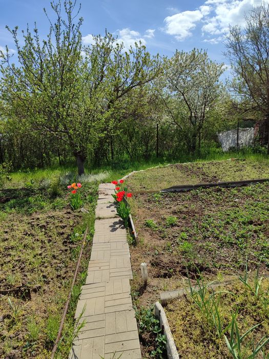 Дача в Червоноднепровке