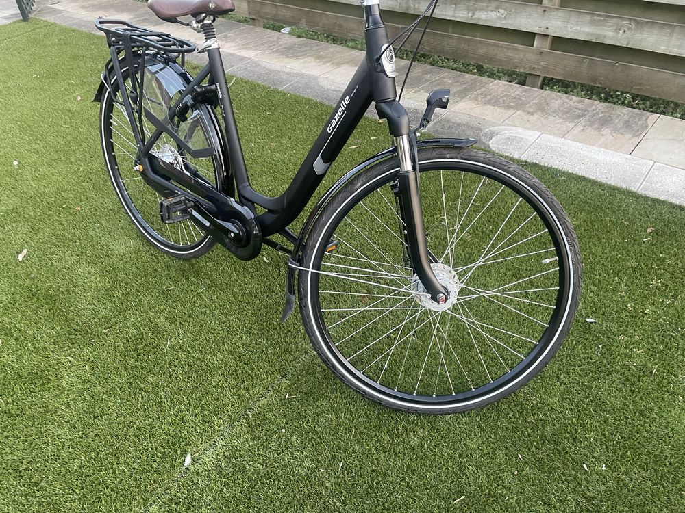 Gazelle Orange c7+