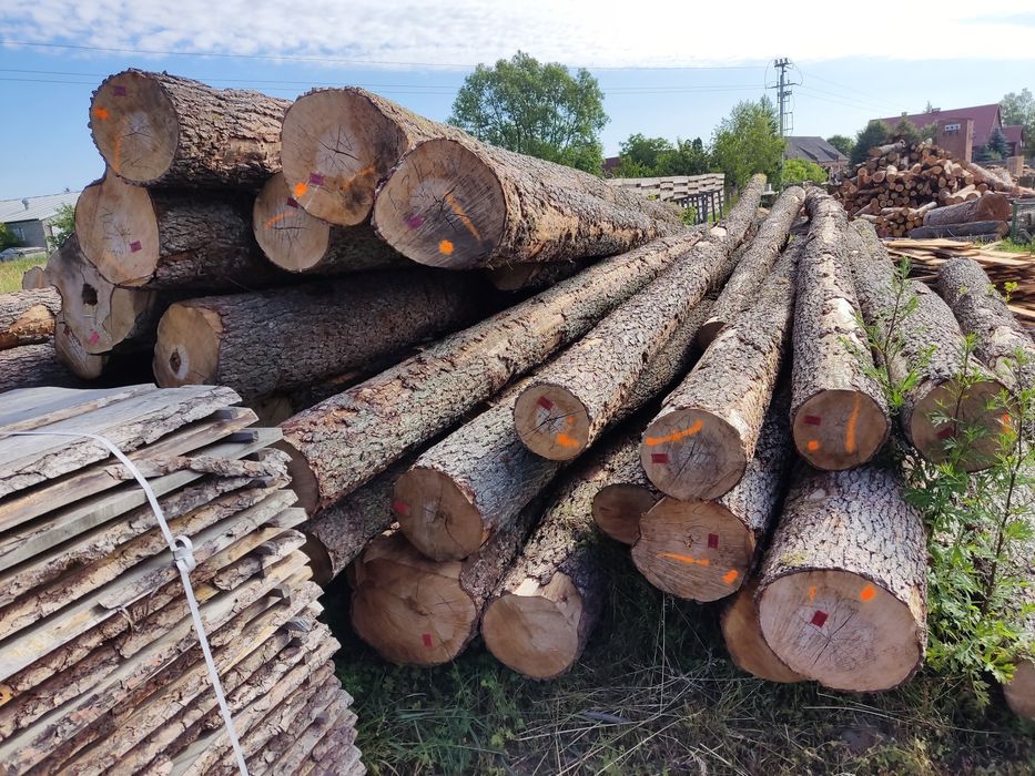 Tarcica brzozowa, bukowa, brzoza tartaczna, deska , 29mm, 40mm  53, 50