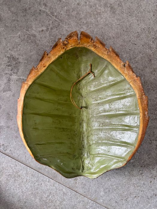 Skorupa zolwia na sciane