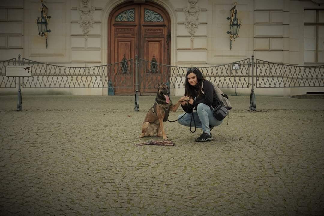 BEHAWIORYSTA,ZOOPSYCHOLOG psów i kotów,TRENER-lęk,agresja,szkolenie