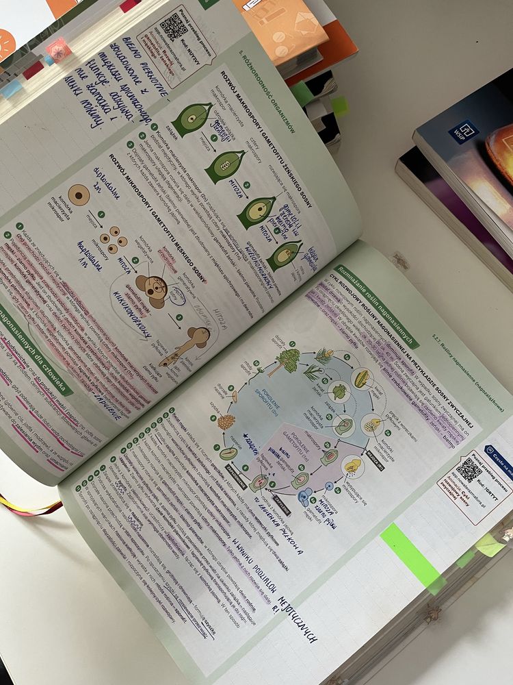 Nowa teraz matura biologia vademecum repetytorium rozszerzona nowa era