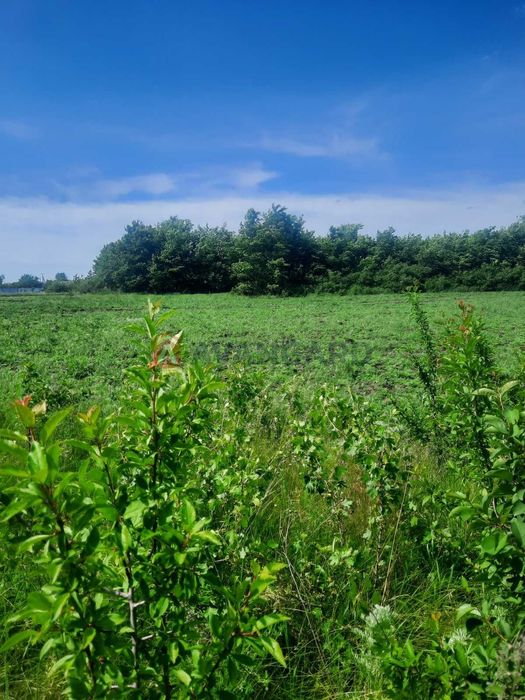 Продам земельну ділянку с.Знаменівка