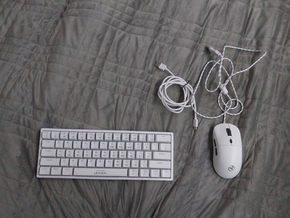 Клавіатура і мишка