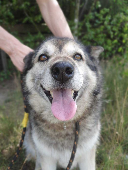 TOLA i MEDI szukają wspólnego domu