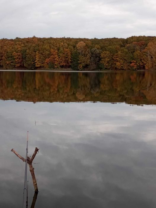 продам дом мечты на берегу озера