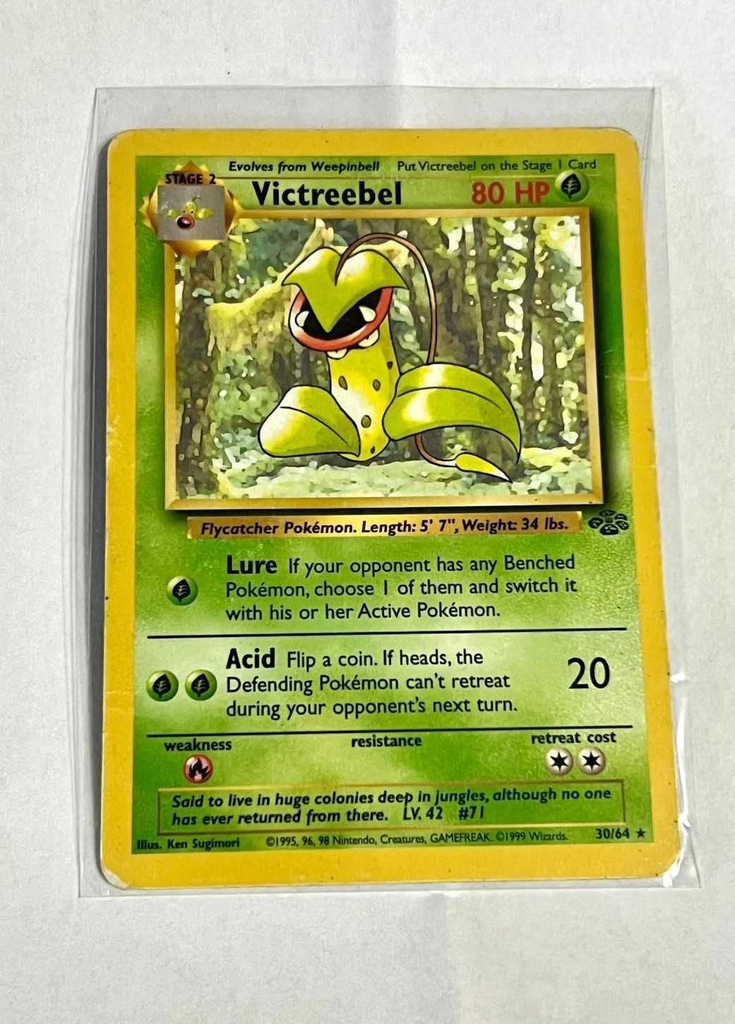 Lote de Cartas Originais Pokémon Edição Jungle TCG
