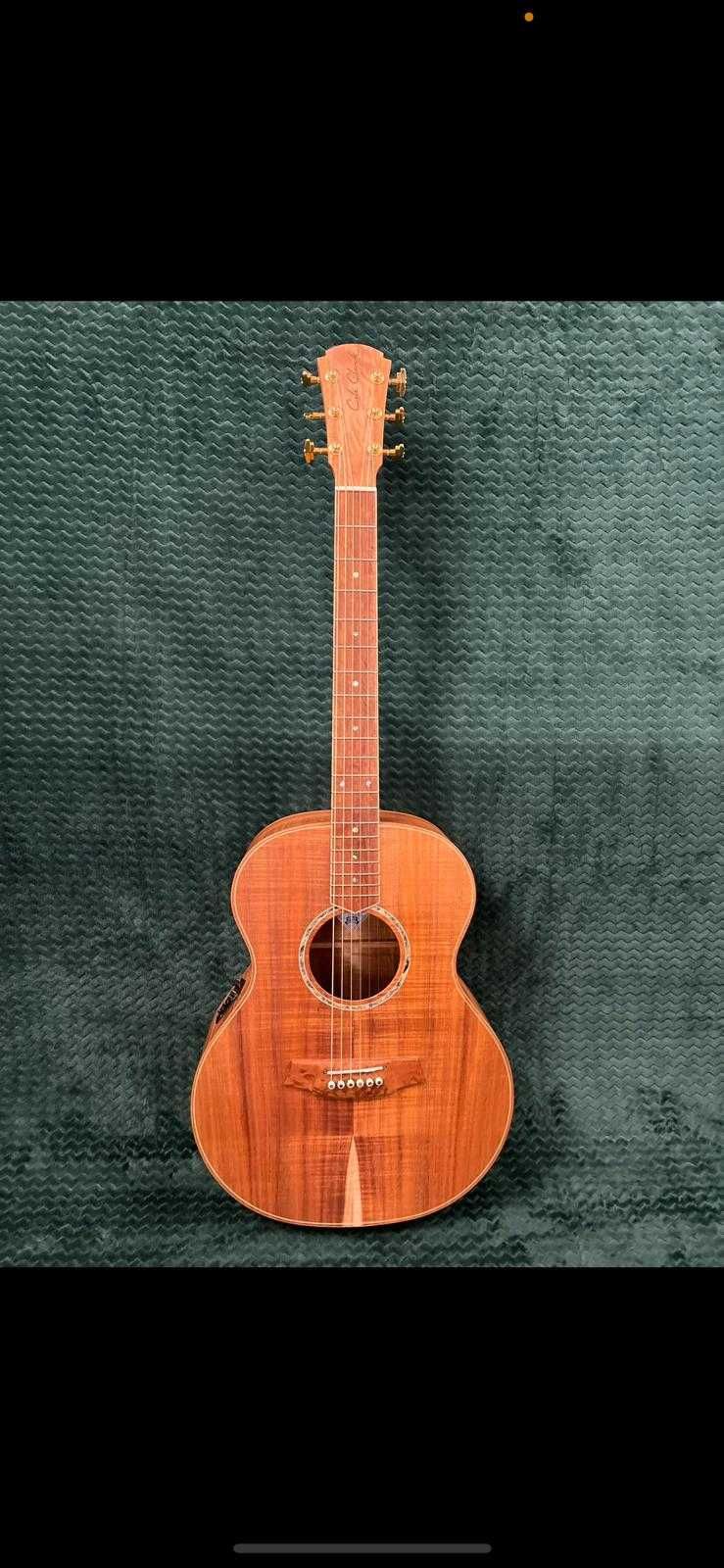 Cole Clark Angel  AN3E-BLBL-Master Grade