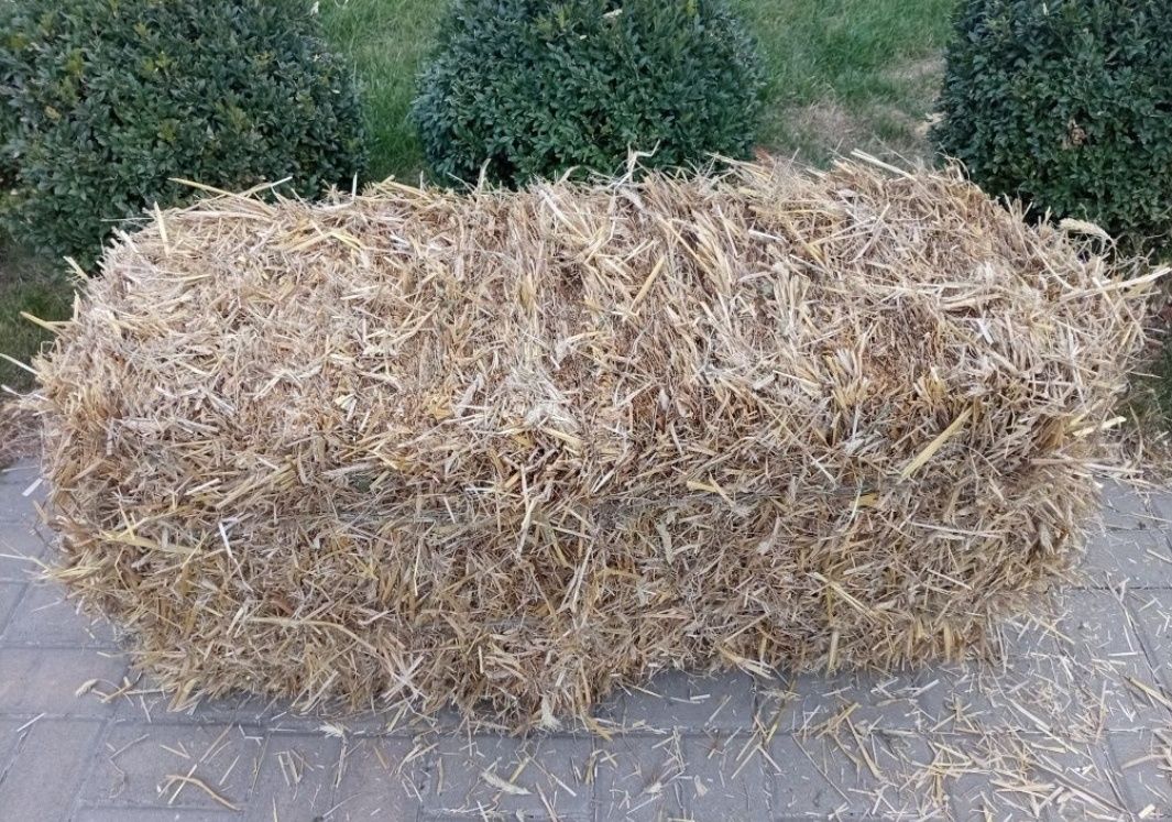 Продам солому в тюках.