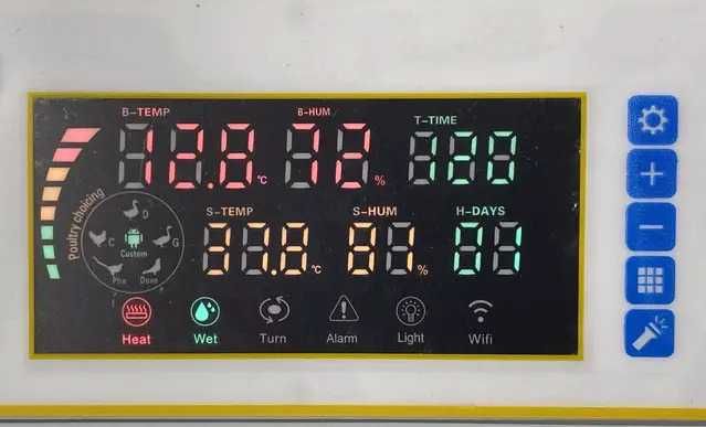 Інкубатор автоматичний Птаха 60-OR (220/12в)