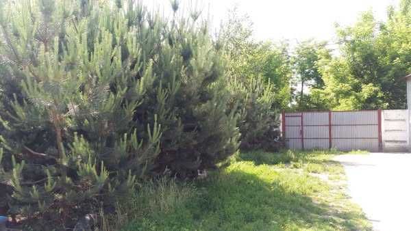 Продається автосервіс