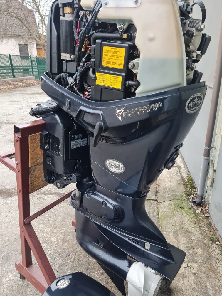 Evinrude etec 75