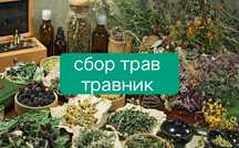 Фито чай травы лекарственные растения лікарські трави сбор трав чай