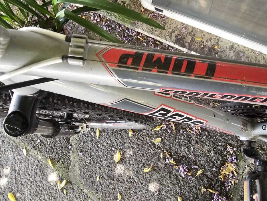 Bicicleta Berg Trail Rock