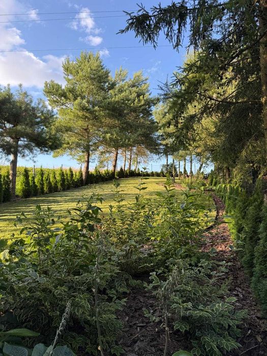 Domek z działką nad jeziorem Dużym w Nowej Wsi, gm. Jabłonowo Pom