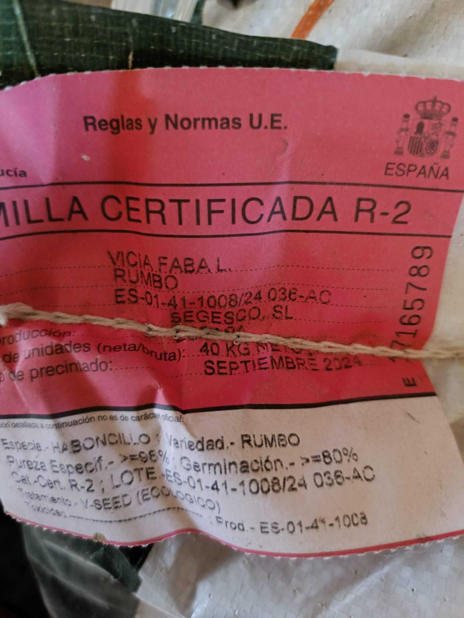 Semente certificada Fava