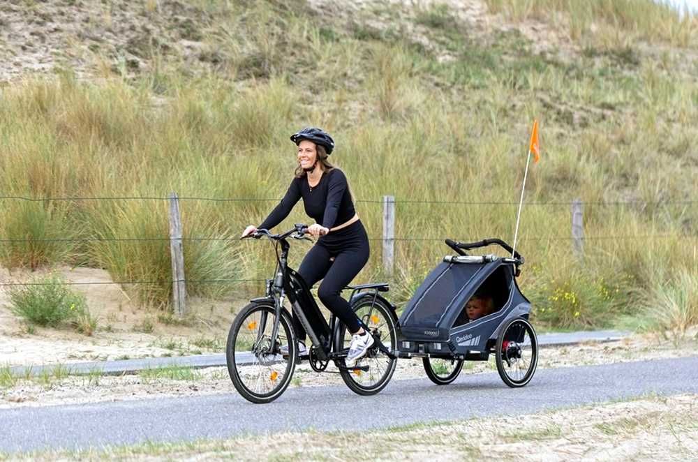 Qeridoo KidGoo 2 Ivy Green przyczepka rowerowa dla dwójki dzieci