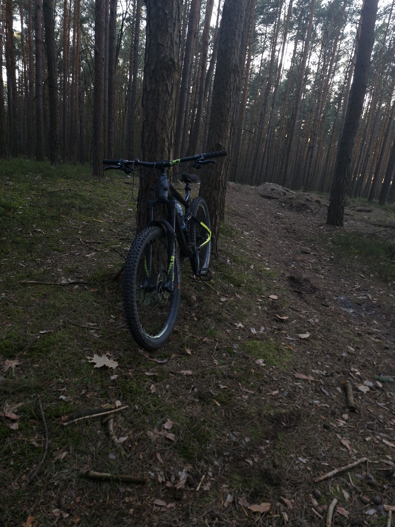 Rower enduro bulls wild mojo 1 2019 [mtb,enduro,dh]