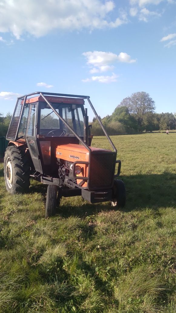 Ursus c360 zabudowa leśna
