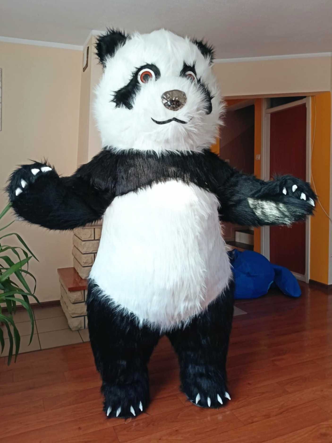 Duży miś panda dmuchany pompowany XXL kostium 2 metry gigant