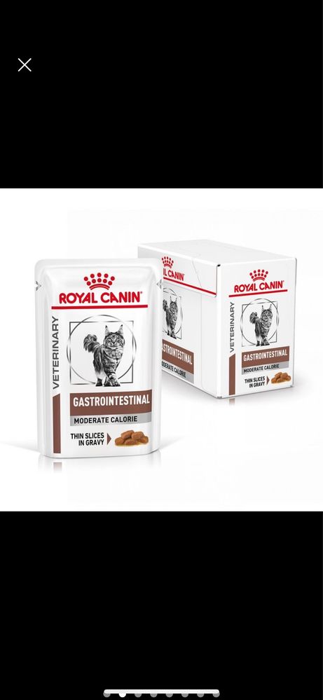 royal canin gastro intestinal 48 saszetek po 85 g