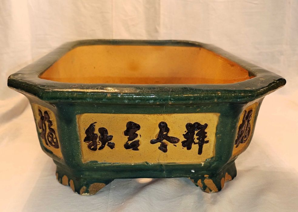 Vaso Terracota Bonsai