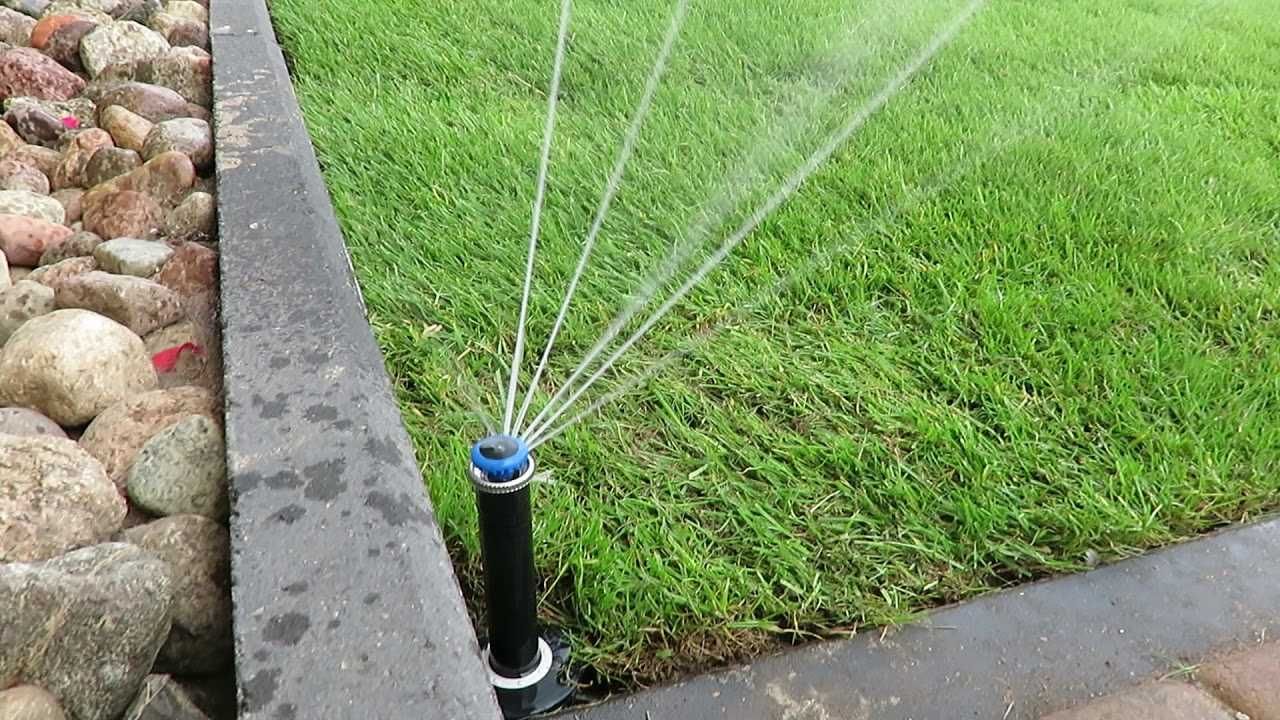 Automatyczne Nawadnianie Urządzanie Ogrodów Rośliny Trawa z Rolki