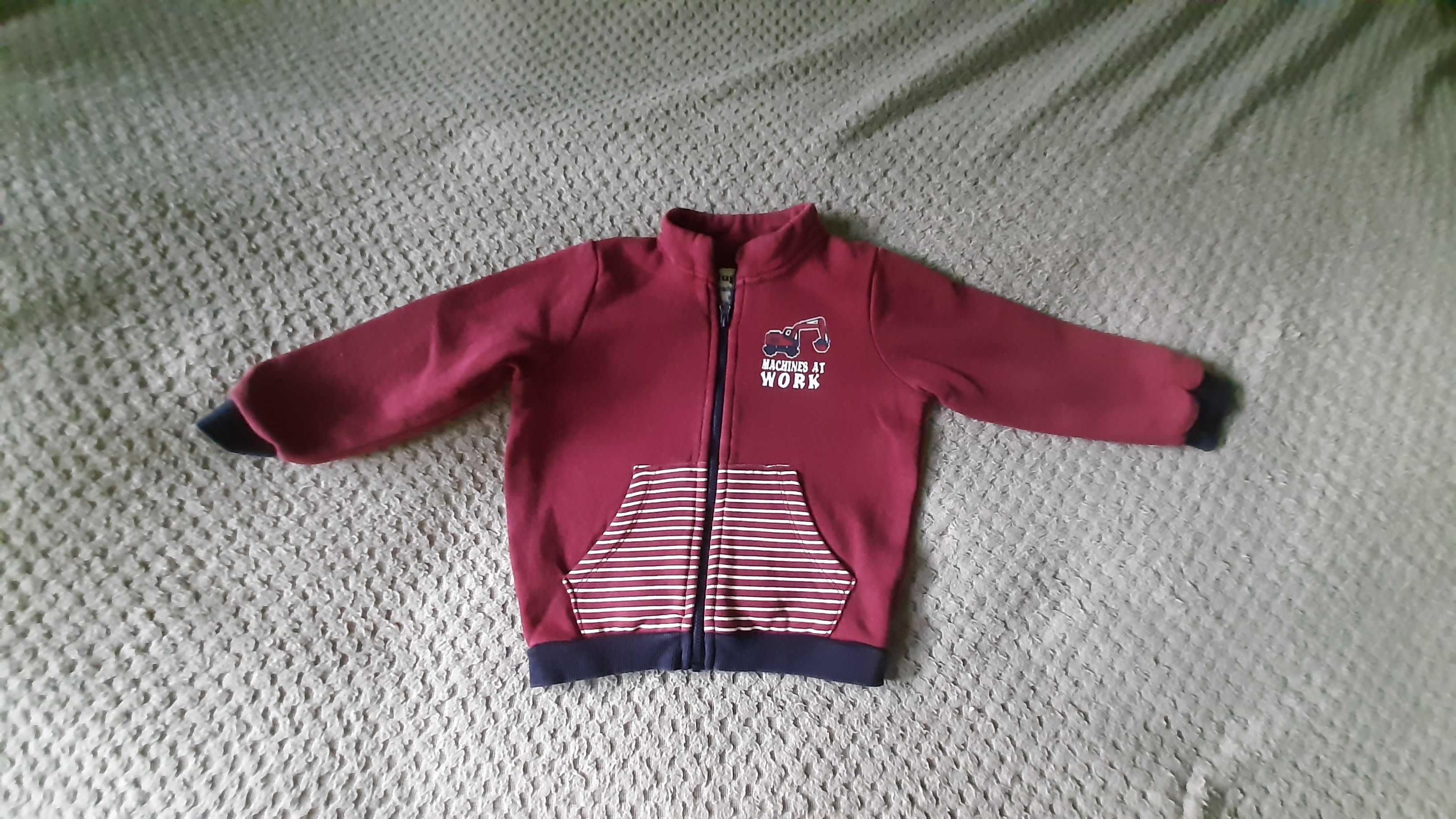 Bluzy chłopięce Lupilu roz 86-92