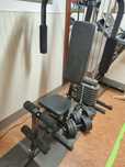Máquina multi-exercícios para ginásio vidaXL