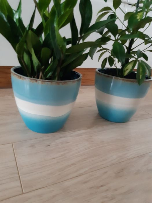 Osłony doniczki turkus HomeYou