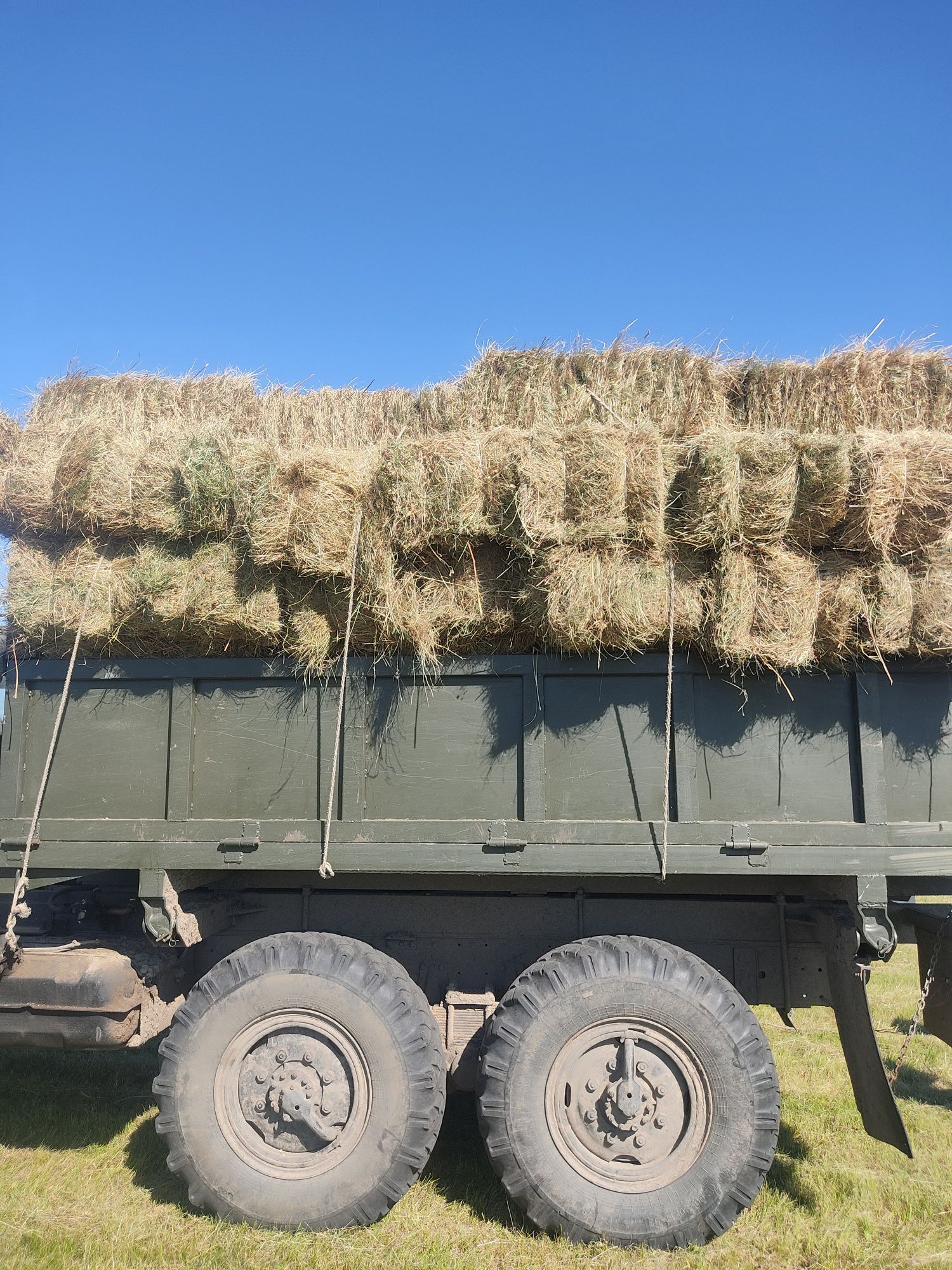 Продам сіно лугове в тюках 2025 і солому в тюках