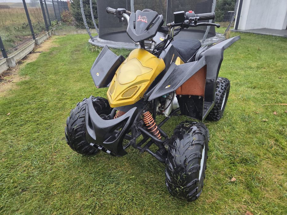 Quad 110ccm automat