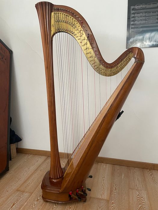 Harpa Lyon & Healy