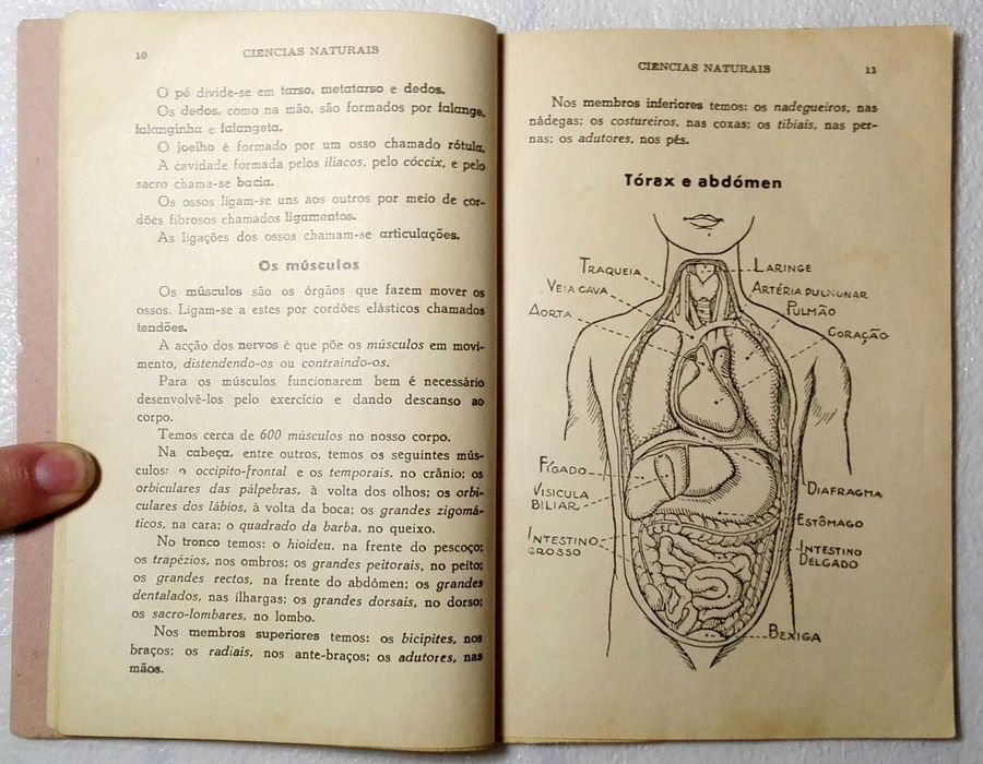 Livro Ciências Naturais (caderno mui antigo)