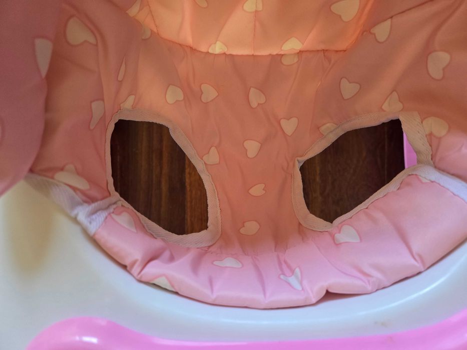 Andarilho Maxibaby Rio Rosa