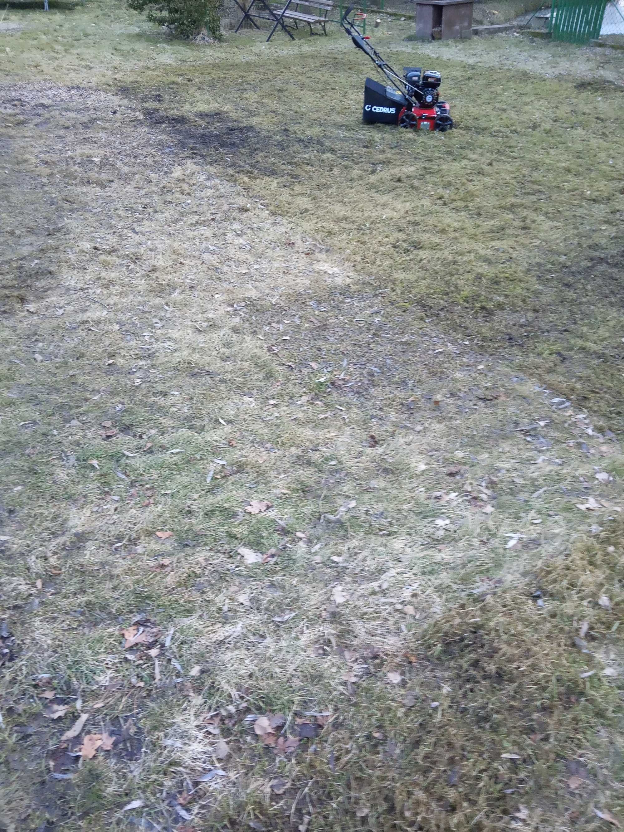 Wynajem wertykulatora aerator wertykulator spalinowy Cedrus Myszków