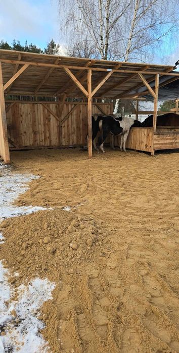 Wiata dla koni zwierząt drewniana