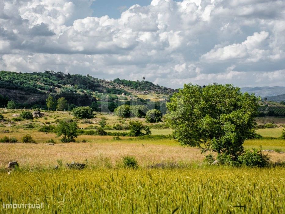 Terreno rústico em Monte do Bispo (Caria) com 1,15 ha.
