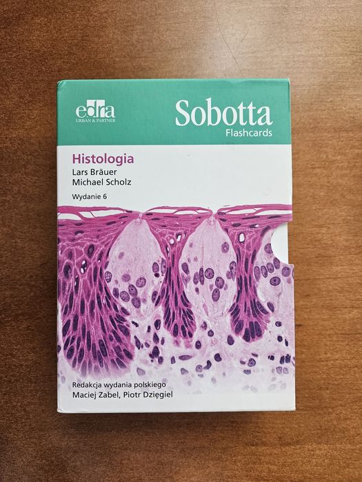 Fiszki histologia Sobotta