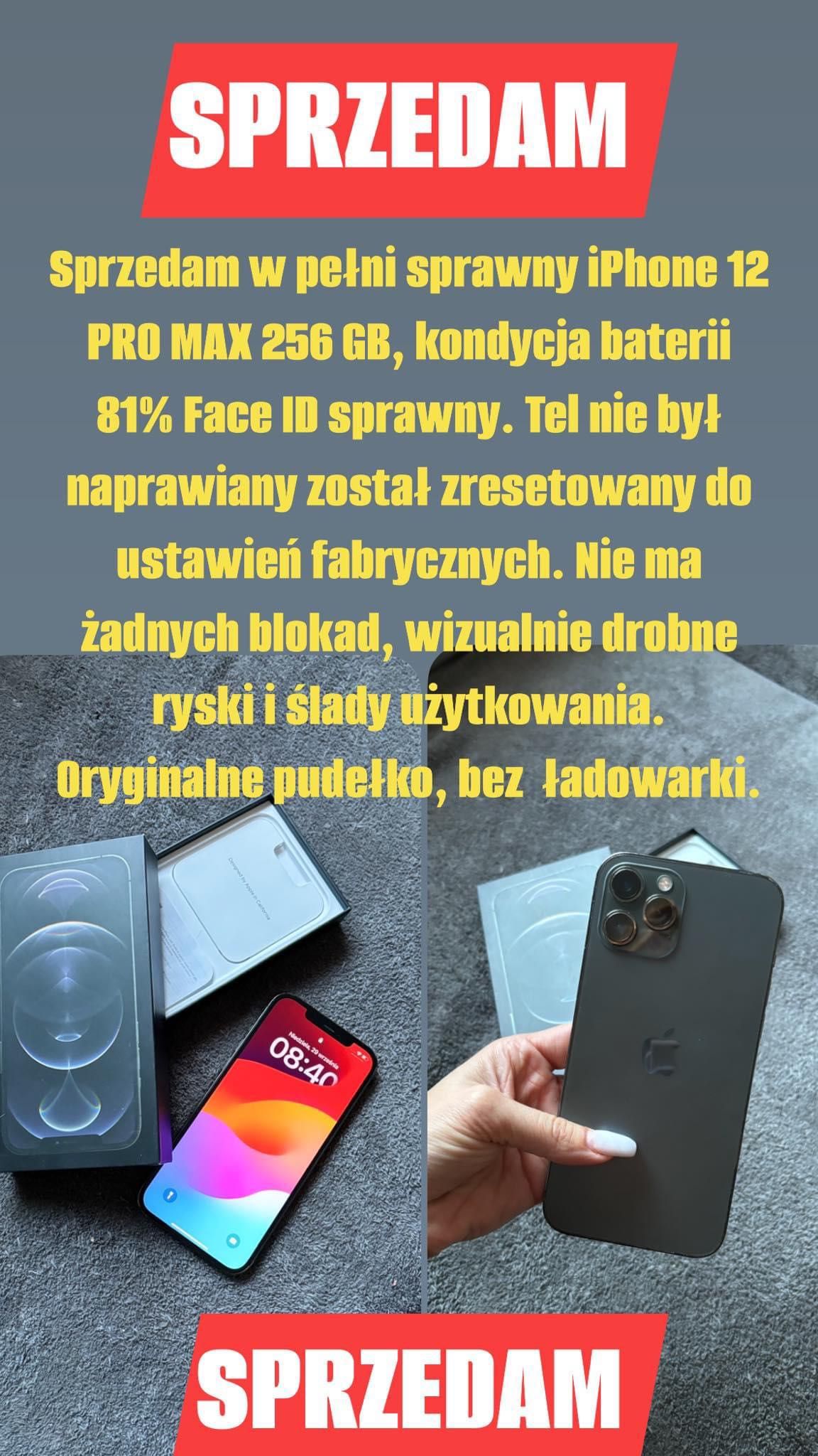 iPhone 12 Pro Max 256 GB