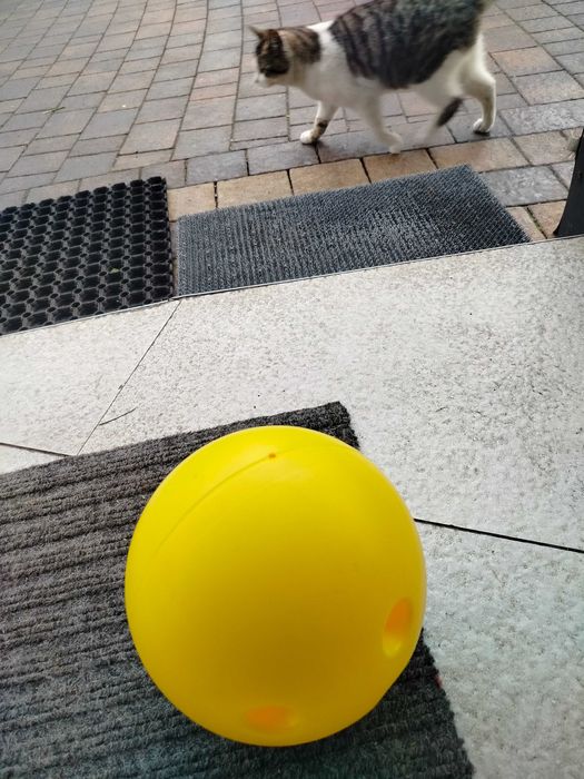 Kręgle (duże ) 30 cm . Zestaw z dwiema kulami.