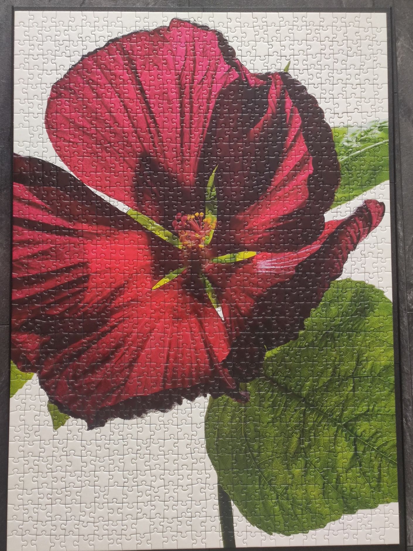 Puzzle Ravensburger 1000 Gloss effect Hibiskus