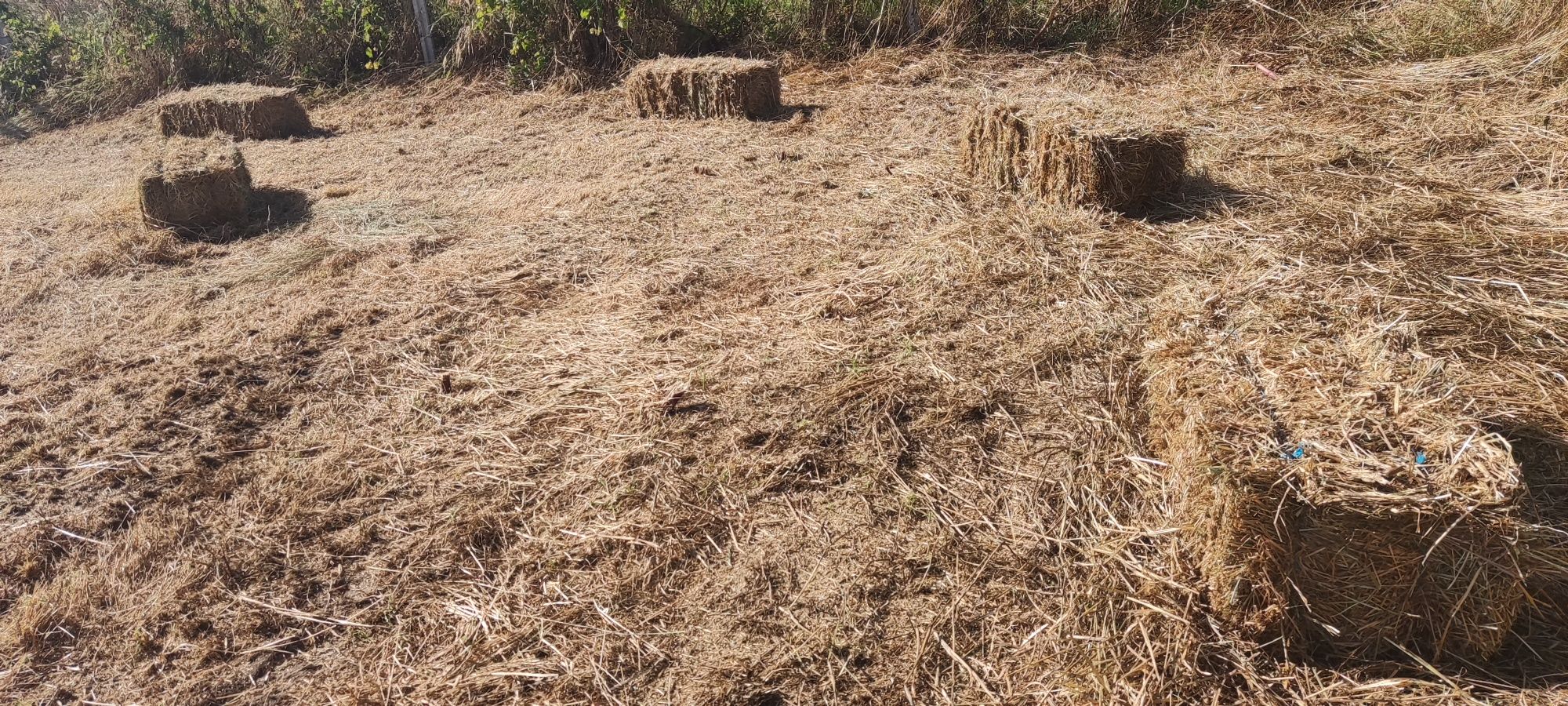 Fardos de Palha 2025