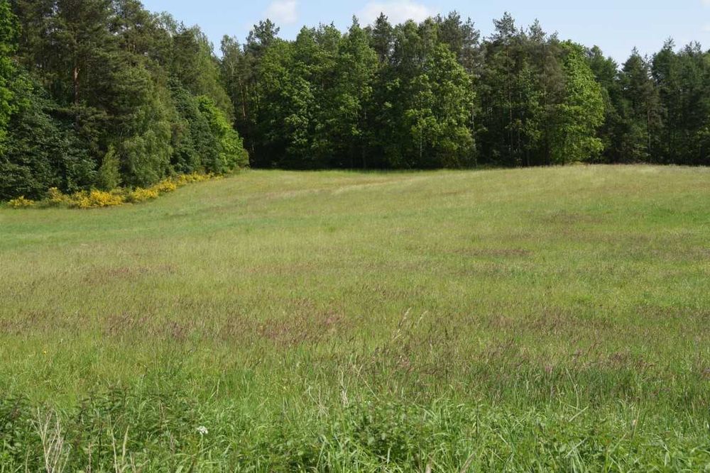działka budowlana pod Sierakowicami
