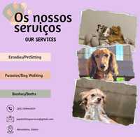 Serviço de estadia para cães