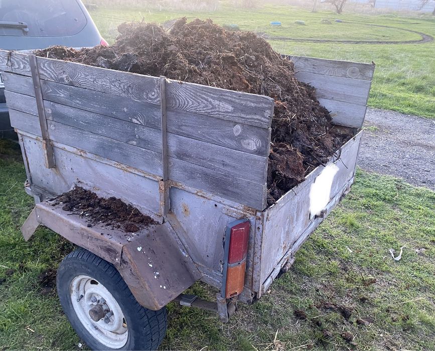 Продам конский перегной прошлогодний  «ЯНТАРНЫЙ», удобрение Премиум