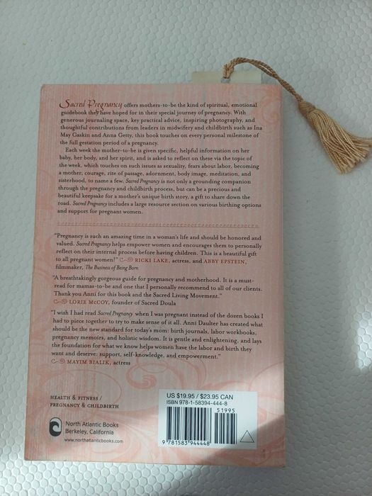 Livro Sacred Pregnancy