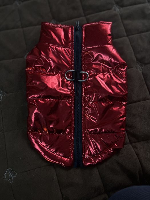 Желетка для собачки