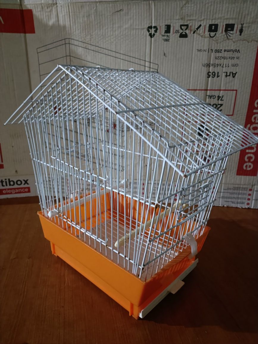 Periquito com Gaiola