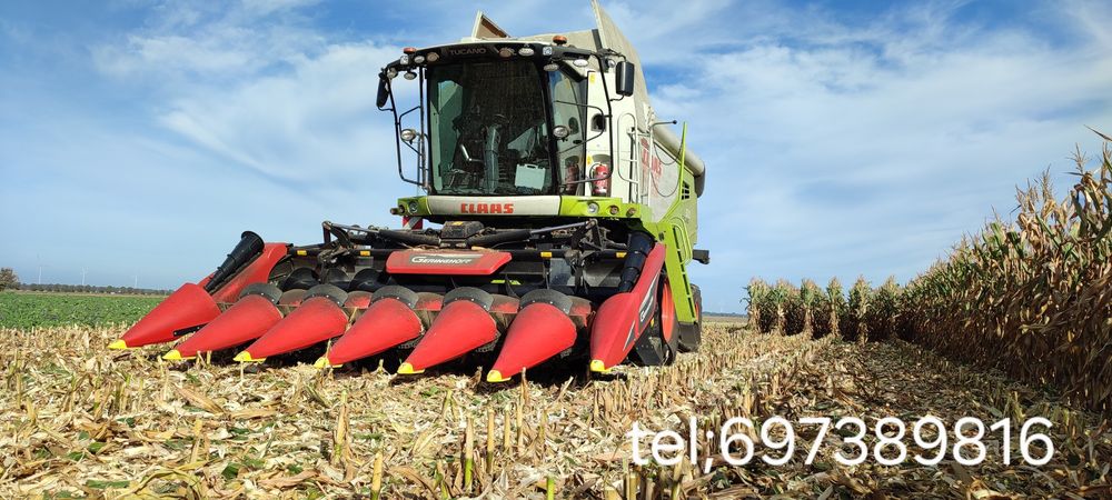 Zbior kukurydzy oraz transport, Usługi rolnicze od siewu do zbioru
